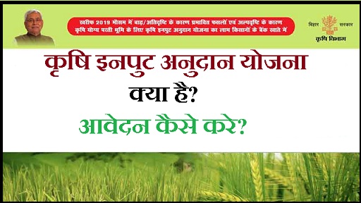 Krishi Input Subsidy Scheme