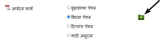 उत्तराखंड विधवा पेंशन योजना ऑनलाइन आवेदन कैसे करें 