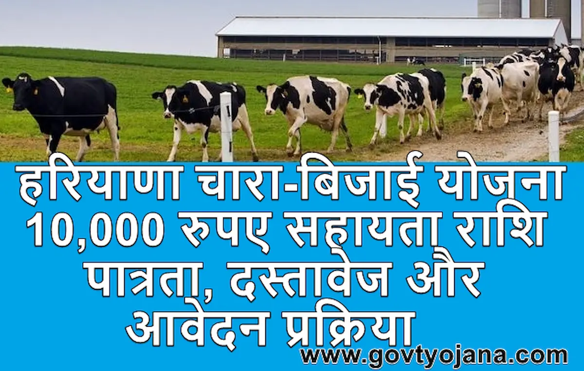 हरियाणा चारा-बिजाई योजना 10,000 रुपए सहायता राशि पात्रता, दस्तावेज और आवेदन प्रक्रिया