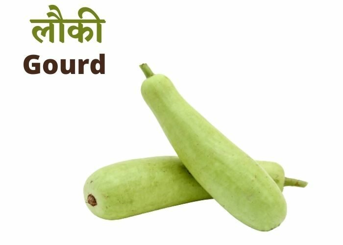 Bottle-Gourd-for-obesity