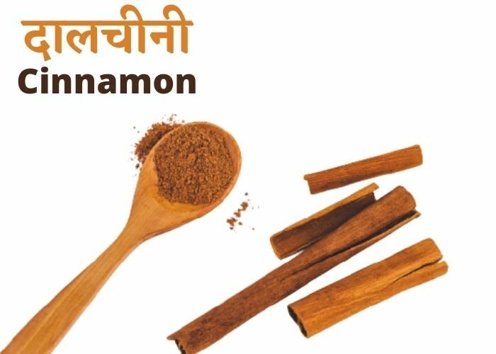 Daalchini-or-Cinnamon-for-obesity 