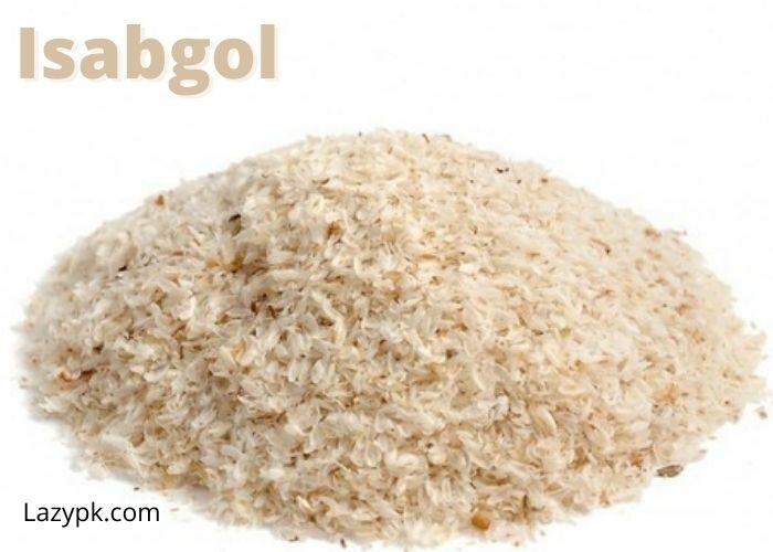 Isabgol-for-obesity