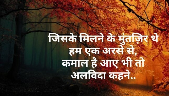 Shayari in Hindi