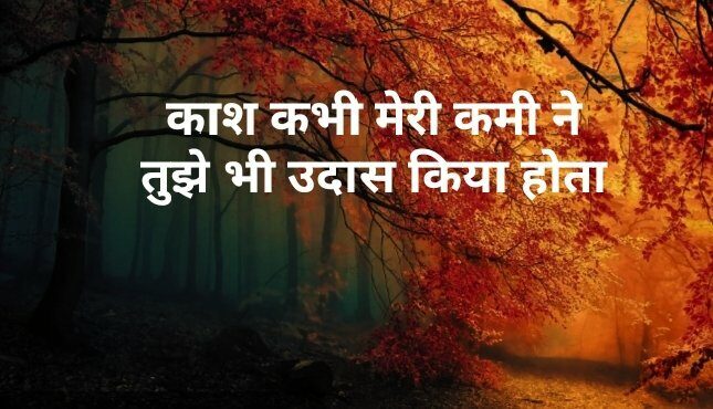 Shayari in Hindi