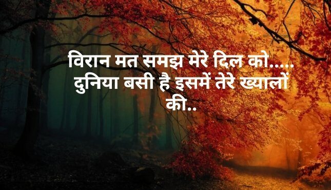 Shayari in Hindi