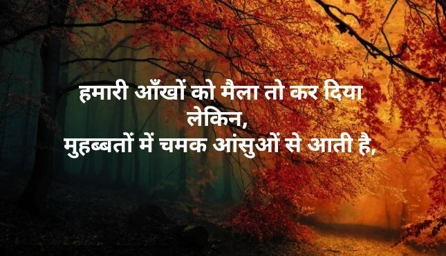 Shayari in Hindi