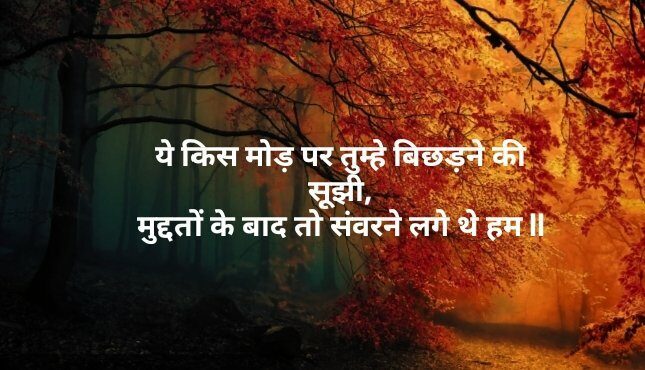 Shayari in Hindi