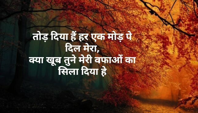 Shayari in Hindi