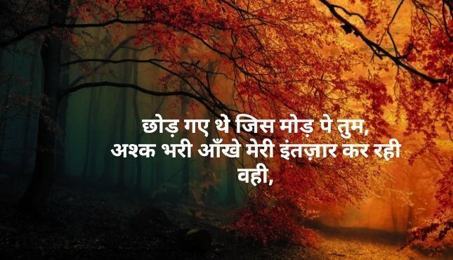 Shayari in Hindi