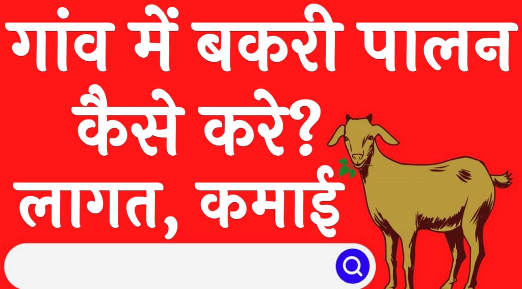 गांव में बकरी पालन कैसे करे लागत कमाई Gaon Mein Bakri Palan Kaise Kare in Hindi