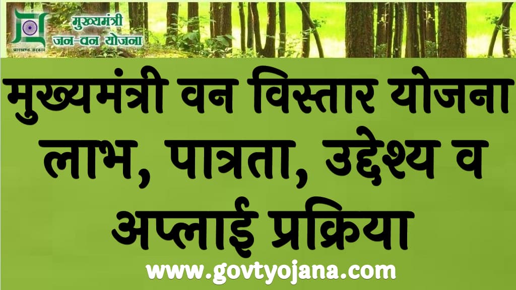 मुख्यमंत्री वन विस्तार योजना 2024 लाभ, पात्रता , उद्देश्य व अप्लाई प्रक्रिया Mukhyamantri Van Vistar Yojana 2024