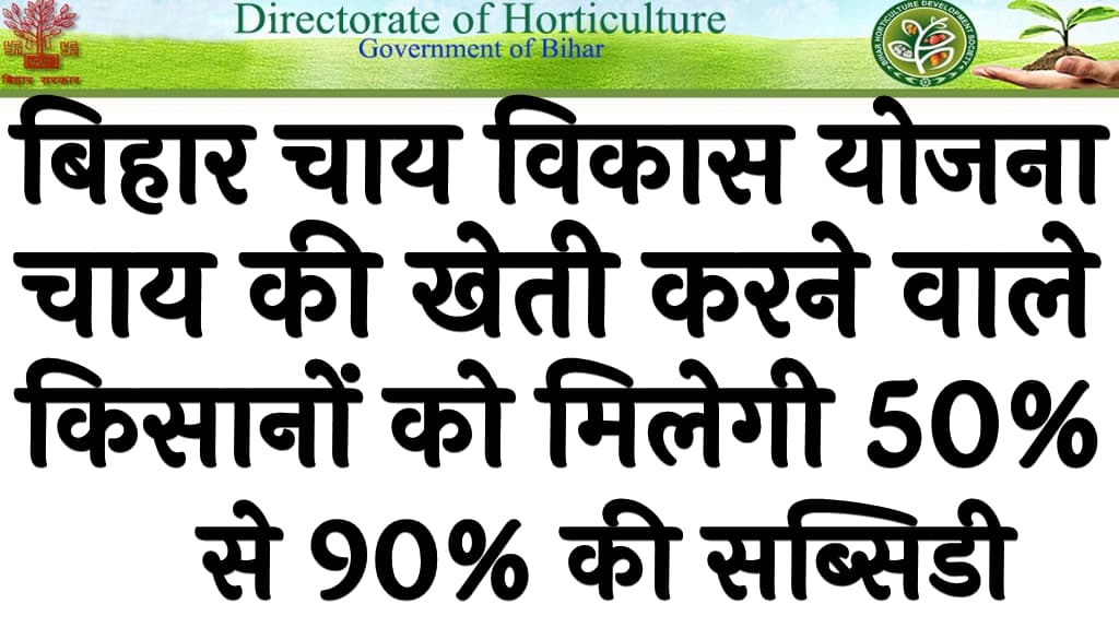 बिहार चाय विकास योजना चाय की खेती करने वाले किसानों को मिलेगी 50% से 90% की सब्सिडी